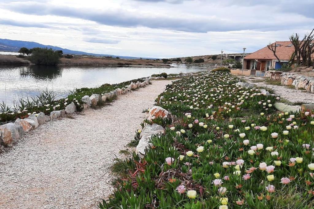 Maisonnette Entre Etang Et Plage Leucate Esterno foto